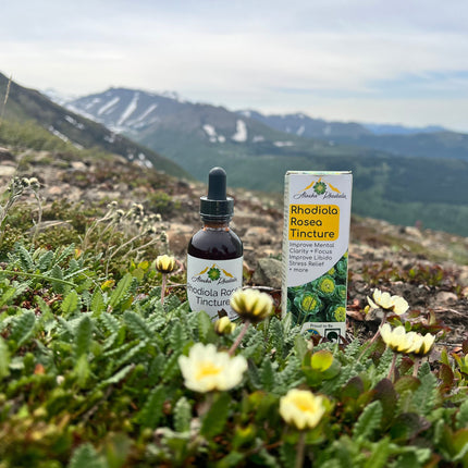 Rhodiola Rosea Tincture – Natural Stress & Energy Support (2 oz)