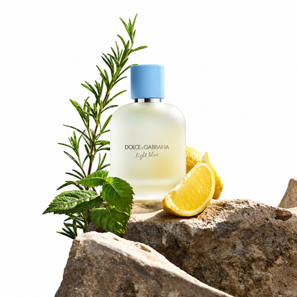 Dolce & Gabbana Light Blue Pour Homme Eau de Toilette aromaflare.com samples,  Decant Samples 100% authentic , niche fragrances, mans cologne, woman perfume, Full retail bottle 